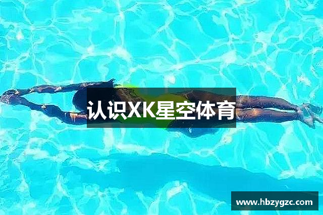 认识XK星空体育